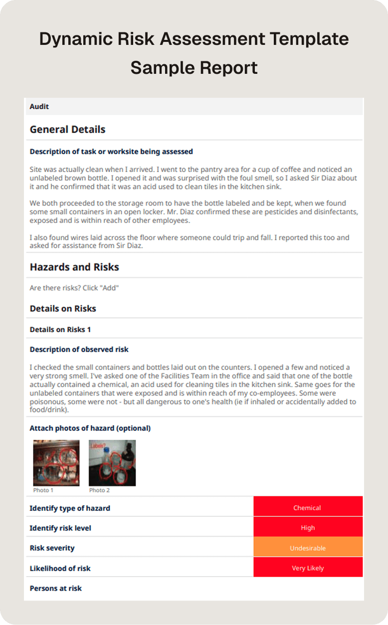 Dynamic risk assessment template