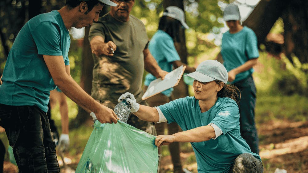 Free online environmental courses with certificates