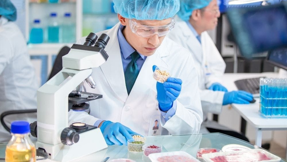 free online food safety courses with certificates