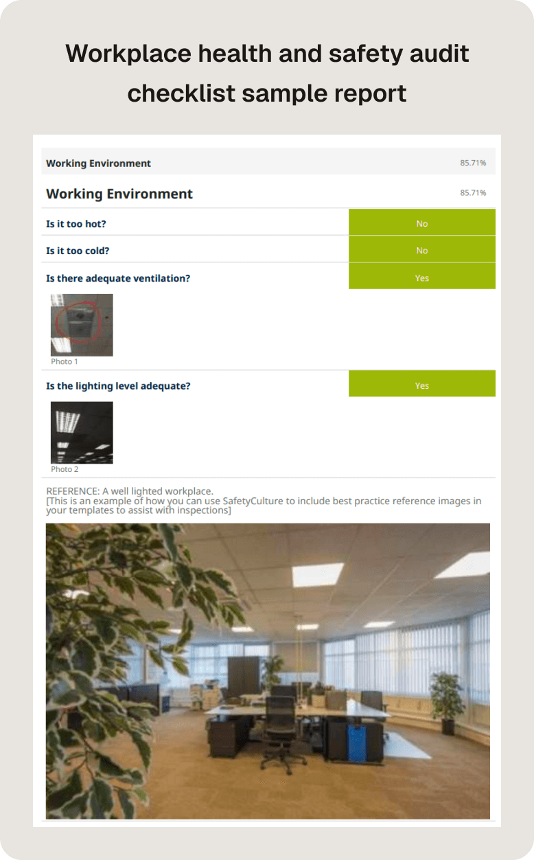 health and safety audit sample report