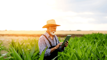 Buenas prácticas agrícolas (BPA)