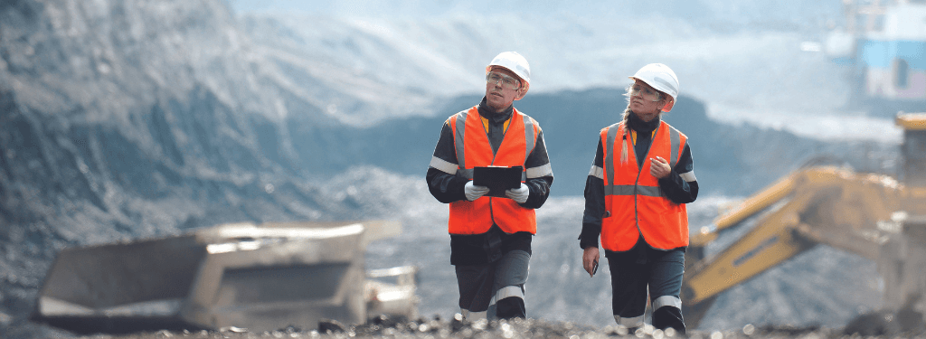 Mining Software
