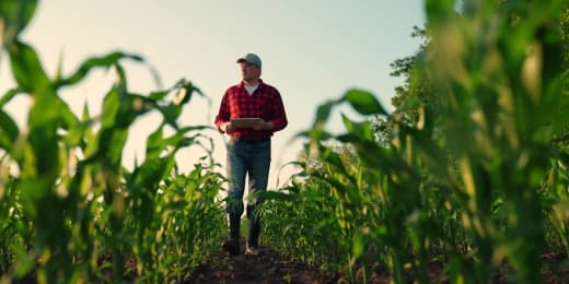 Gestión agrícola