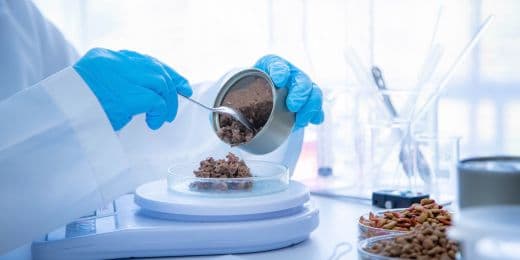 pet food scientist testing pet food products for pet food safety
