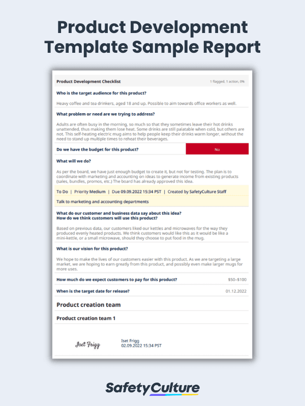 product development template sample report
