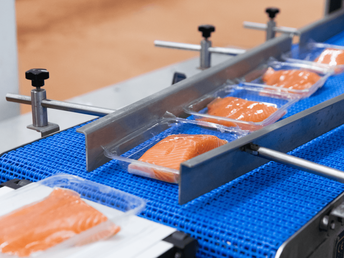 mowi mitti customer story seafood production