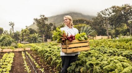 supplier mitigating risks from harvest