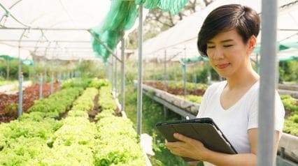 Traçabilité alimentaire