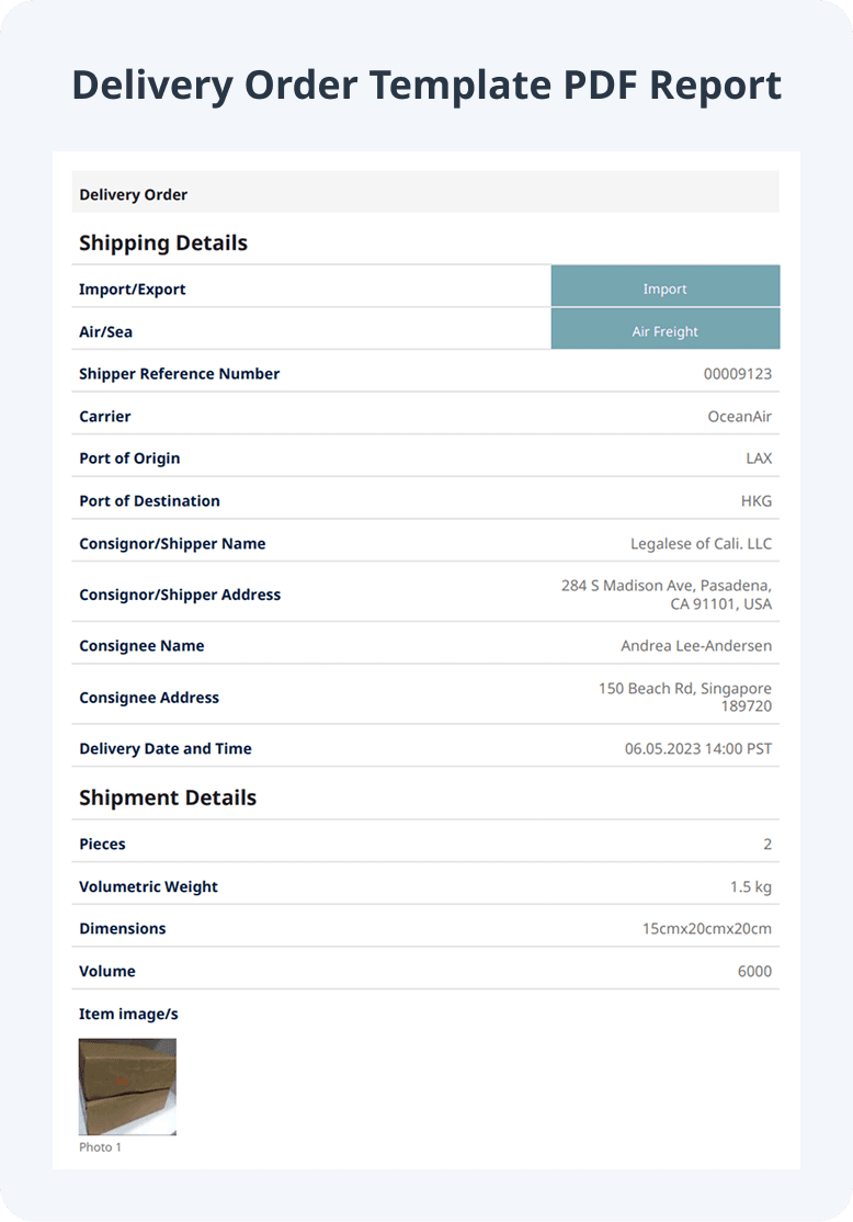 Delivery Order Template PDF Report