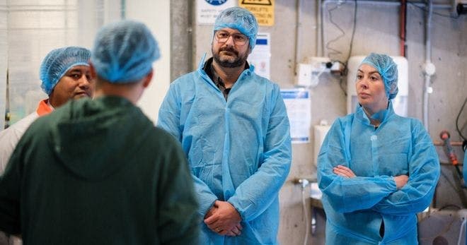 Employees wearing PPE