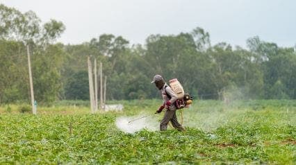 Farm Hazards - Featured Image