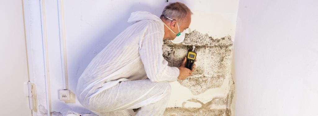 Mold Inspection App