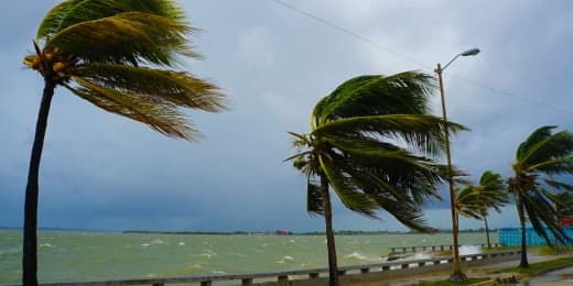 Hurricane Preparedness - Featured Image