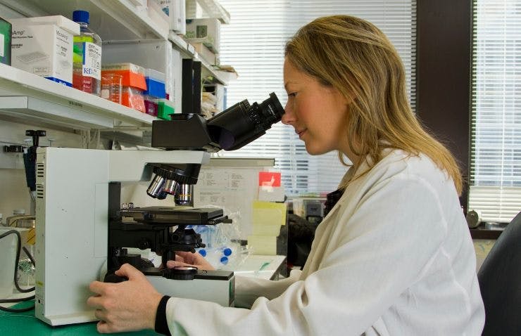Alison Online Bloodborne Pathogen Training Course - Bloodborne Pathogens (BBP)