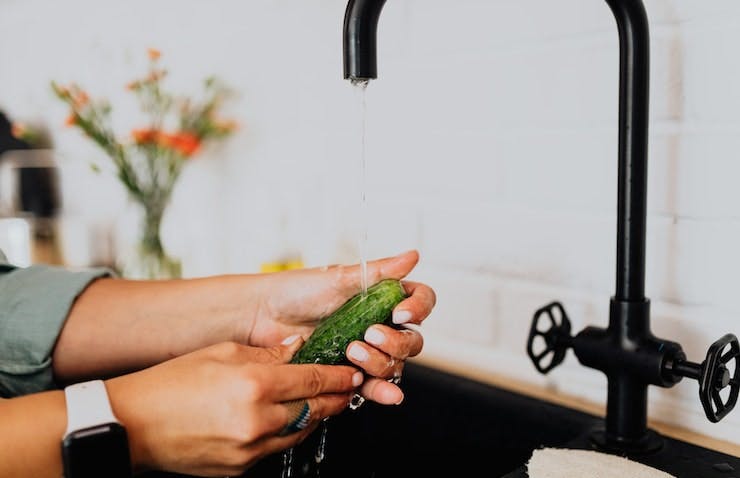 Alison HACCP certification online - The Basics of Food Safety and Hygiene